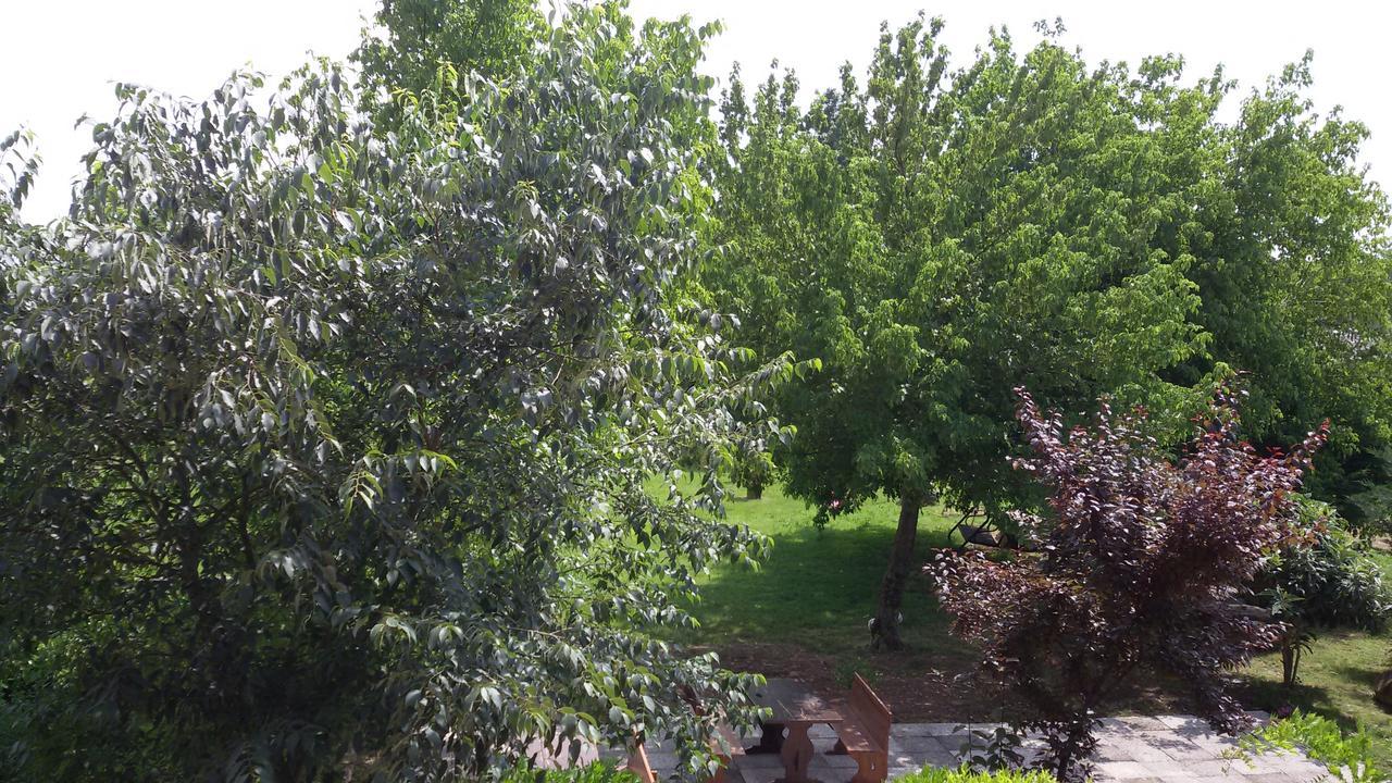 Agriturismo La Pace Valeggio sul Mincio Exterior foto